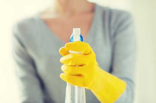Cleaning service booking terms introduction