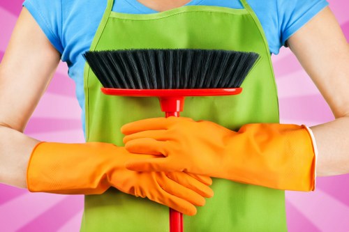 Professional stain removal service for carpets and upholstery in Merton