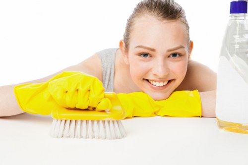 Professional patio cleaning service refreshing a paved garden area in Merton
