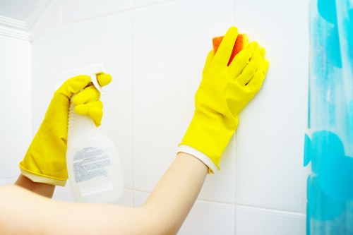 Cleaner removing grease from oven glass and interior surfaces