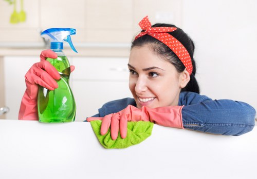 Kitchen and bathroom deep clean during a one-off visit