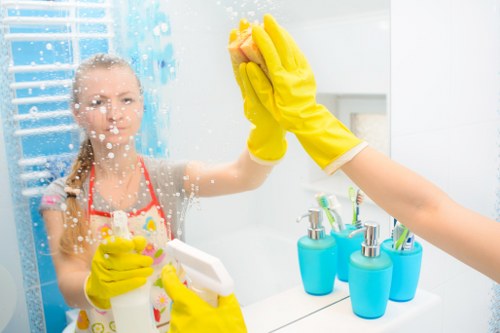 Deep cleaning of bathroom fittings during tenancy changeover