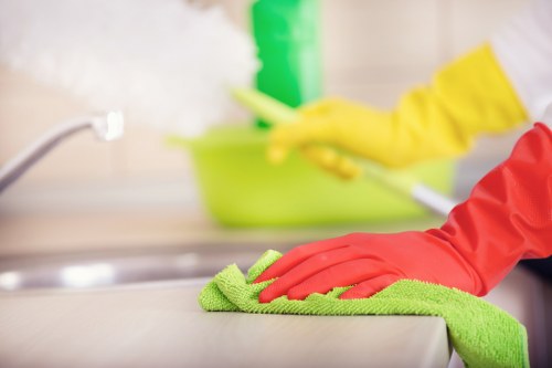 Deep cleaning equipment used for pet odour removal in a Merton property