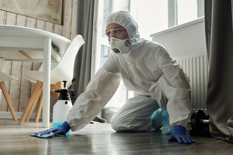 A professional cleaner from Merton Cleaners is kneeling on a wooden floor in a residential setting, wearing full protective gear including a white coverall, a respirator mask, goggles, and blue gloves. The cleaner is in the process of disinfecting the floor surface using a spray bottle placed nearby, which contains cleaning or sanitising solution. The room is well-lit with natural light coming through large windows, revealing a modern dining area with a white table and chairs, and a radiator along the wall. The surfaces appear to be clean and well-maintained, reflecting a focus on hygiene and surface sanitisation in accordance with safety rules for cleaners in Merton borough, MERTON.