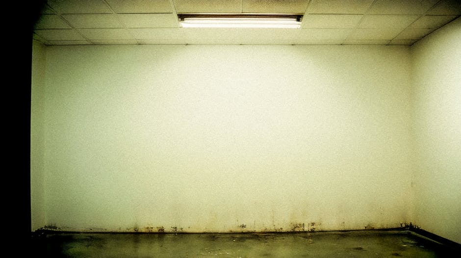A plain, basement room with a white painted concrete wall showing visible signs of damp and mold at the base near the floor, which appears to be concrete with some discoloration. The ceiling features a mounted fluorescent light fixture illuminating the space evenly. The floor is bare, with a slightly damp or stained appearance. The room is empty, with no furniture or fixtures visible, and the overall condition indicates a need for professional damp and mold treatment, as provided by Merton Cleaners. The clean, minimal setting suggests recent or ongoing efforts to address dampness issues, emphasizing the importance of thorough sanitisation and surface cleaning in such environments.