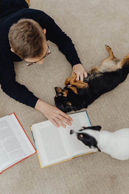 A person with short, light-colored hair and glasses is lying on a beige carpeted floor in a room with neutral lighting. They are wearing a black long-sleeve shirt and are gently petting a black and tan dog that is lying on its back with its belly exposed. An open book with white pages and a red cover is placed nearby, along with another open book with a white cover, both on the carpet. In the foreground, a white and black cat is approaching the scene, positioned slightly out of focus. The scene depicts a tidy, well-maintained domestic space focused on casual, comfortable interaction and relaxation with accompanying reading materials.