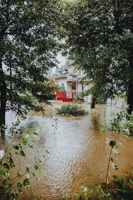 A flood-damaged residential area with water covering the ground up to the lower parts of trees and nearby plants. The image shows a multi-story house in the background with a white exterior and a pitched roof, partially obscured by large green trees and foliage. The water appears muddy and is reflecting the overcast sky. There are no visible cleaning tools or surfaces in the image. The scene highlights the importance of professional water damage cleaning and sanitisation, as provided by Merton Cleaners, to restore affected properties after flooding incidents, especially in the Mitcham CR4 area. This image emphasizes the need for deep cleaning and surface sanitisation in flood-affected residential environments to ensure hygiene and safety.